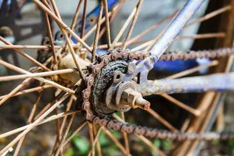 Old bicycle chain Фото
