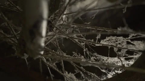 Old Bicycle Covered in Dust and Stored in a Garage for Years Vídeos de archivo 336278825