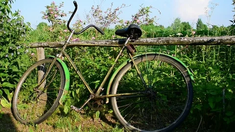 Old bicycle by the hedge Stock Footage 110838778