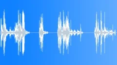Old Bicycle Moving Noises 04Sound Effect