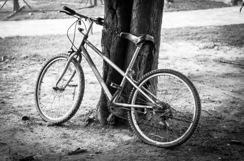 Old bicycle park. Stock Photos