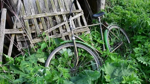 Old  bicycle parked in grass Stock Footage 110833481