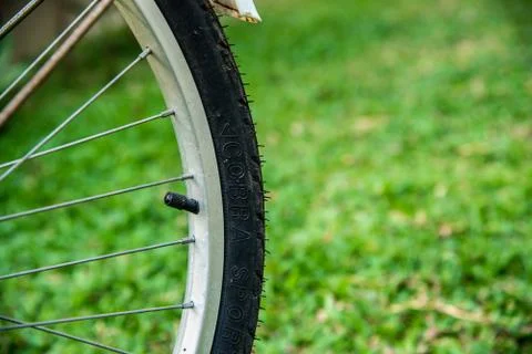 Old bicycle part. Stock Photos