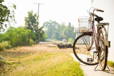 Old bicycle. Stock Photos