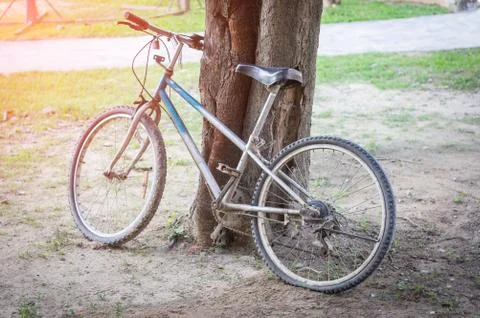 Old bicycle. Stock Photos
