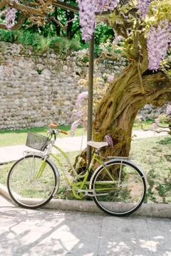 Old bicycle Stock Photos