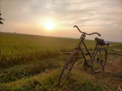 Old bicycle Stock Photos