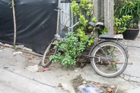The old bicycles damage has grass on body., nobody wants to ride Stock Photos