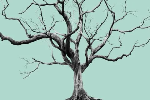 Old Big Giant Tree alone on Muted color background. Stock Illustration