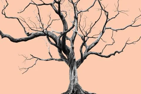 Old Big Giant Tree alone on Muted color background. Stock Illustration