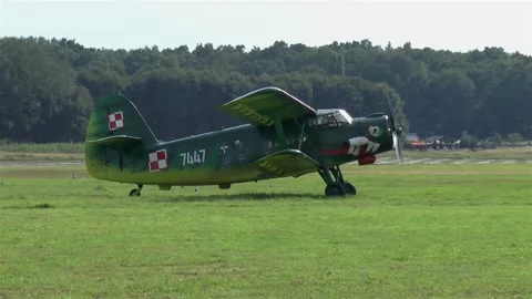 Old biplane on a grass runway. Stock Footage 146029754