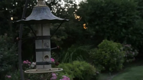 Old Bird Feeder Stockbeeldmateriaal 8571406