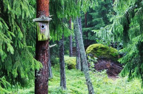 Old birdhouse. Stock Photos