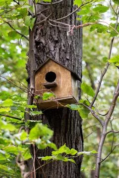 Old birdhouse Stock-Fotos