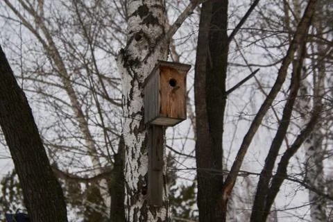 Old birdhouse on a tree Stock-Fotos