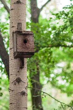 Old birdhouse on the tree Stock Photos
