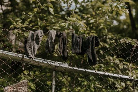 Old black and gray socks are dried on a steel metal wire Stock Photos