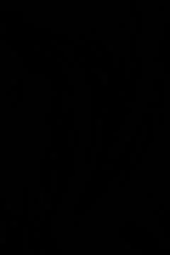 Old black background. Grunge texture. Dark wallpaper. Blackboard, Chalkboard, Stockillustratie