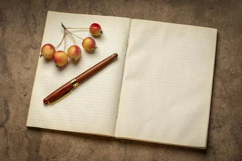 Old blank notebook or journal Stock Photos