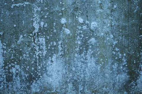 Old blue wall with lichen Foto stock
