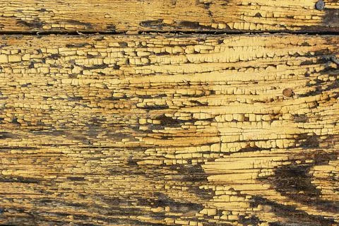 An old board. Grunge rough texture, wood texture. Wood texture background wit Stock Photos
