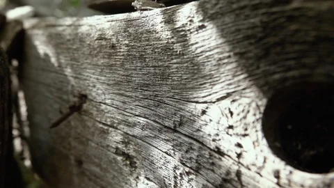 Old board with nails Vídeo Stock 111956915