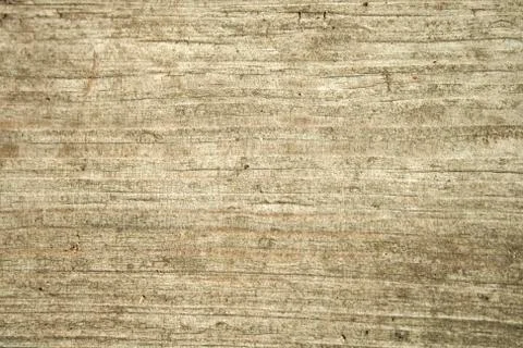 An old board. The texture of the linden tree. Stock Photos