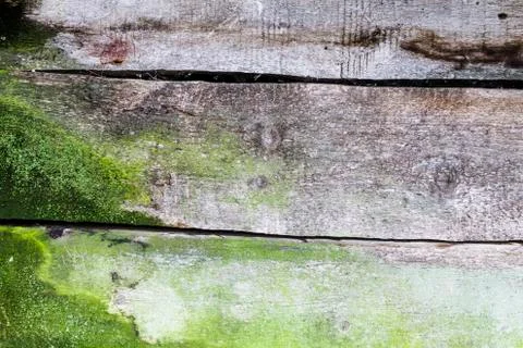 Old boards Stock Photos