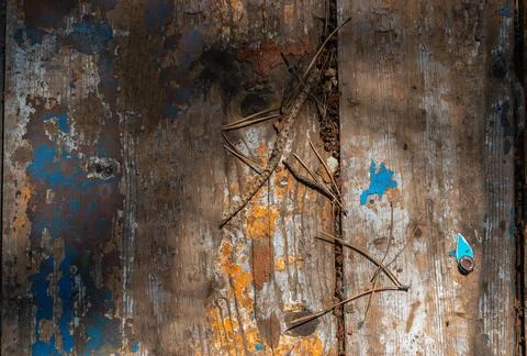Old boards in a pine forest as a background Stock Photos