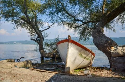 Old boat between two  trees on the lake coast Stock Photos