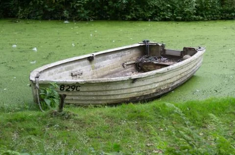 Old Boat Sitting In Algae Covered Water Foto stock