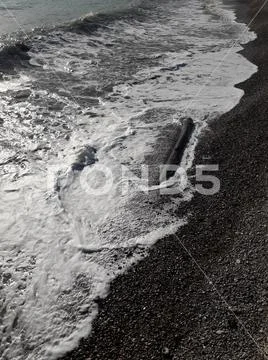 Old bog oak in sea foam Stock Photos