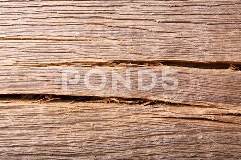 Old bog oak wood, texture grunge background. Stock Photos