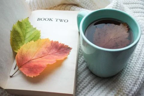 An old book with bright leaves, Cup of tea and cozy sweater Stock Photos
