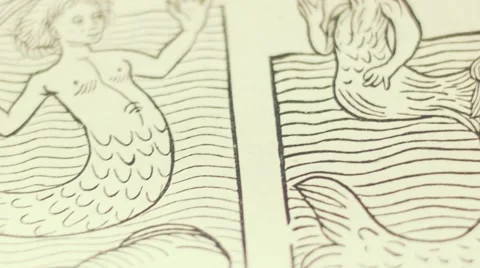 Old Book Stock Footage 59658063