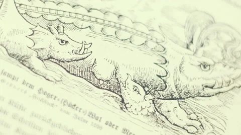 Old Book Stock Footage 59658096