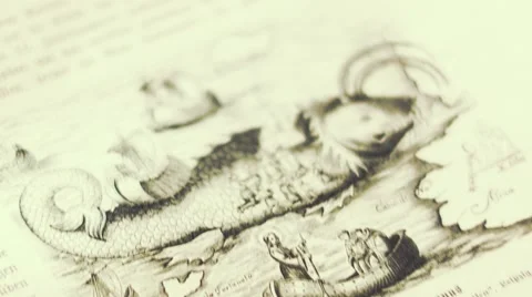 Old Book Stock Footage 59664859