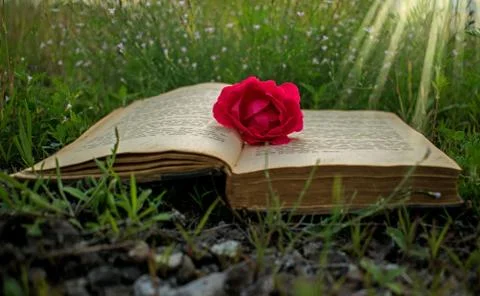 An old book on the grass Stock Photos