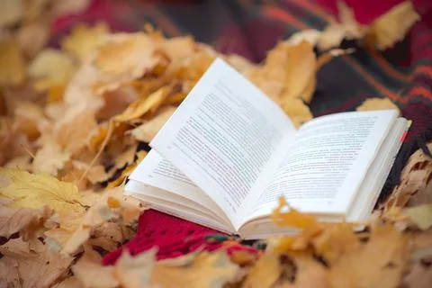 An old book is lying on a bench with fallen leaves in the autumn Park Stock Photos
