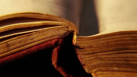 Old Book Macro Shot Stock Footage 284761954