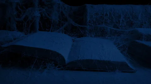 Old Book Open On Table With Cobwebs In The Dark Stock Footage 337125294