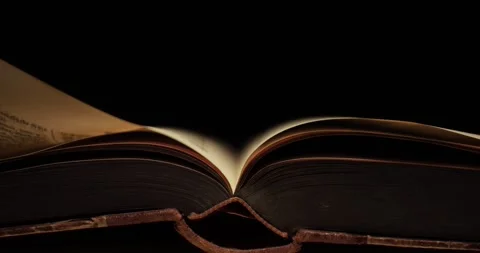 Old book with pages turned by hand. Video stock 311738174