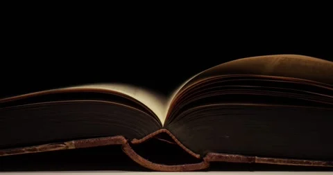 Old book with pages turned by wind Stock Footage 311738172