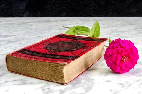 Old book with red binding and flower on a marble table Foto stock