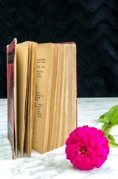 Old book with red binding and flower on a marble table Stock Photos