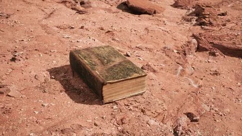 Old book in red rock desert Stock Illustration