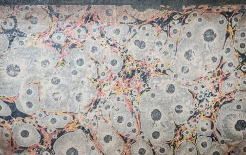 Old book texture and back cover and front page Stock Photos