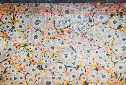 Old book texture and back cover and front page Stock Photos