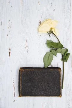 Old book on a white table with dried flower and copy space 스톡 사진