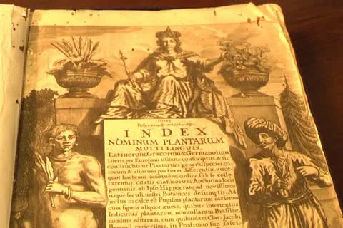 Old books Stock Footage 11405217